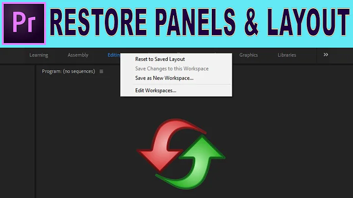 Restore Missing Panels and Adjust Layout |  Adobe Premiere Pro Tutorial