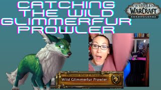Reaction Video Catching The Wild Glimmerfur Prowler After 2 Attempts