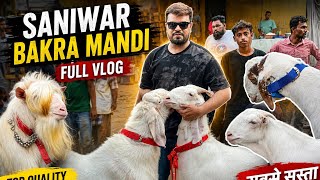 Surat Saniwar Bakra Mandi New Update/ Adnan ak vlogs/ #goat #bakramandi #bakra