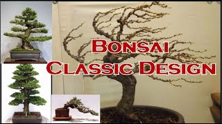 What are the Classic Bonsai Design and Styles The Different Styles Of Bonsai Explained Beginner S Guide