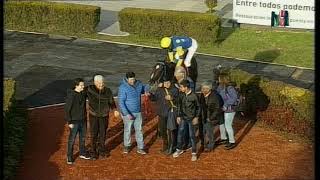 CHIC NISTEL - Clásico Miguel Luis Morales (G2) - La Plata - 14-7-2019
