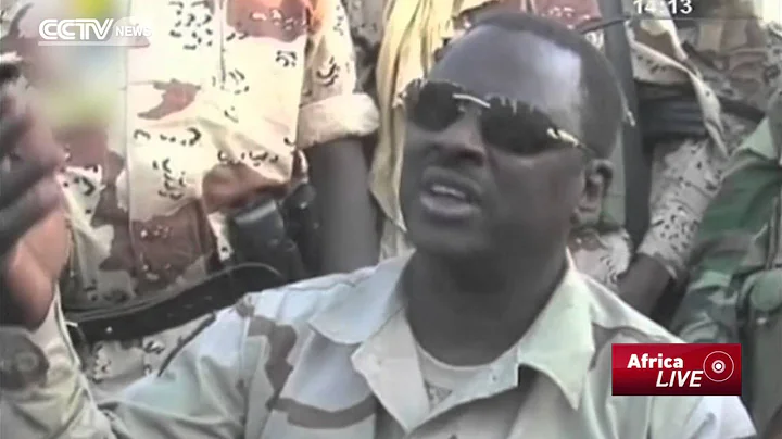 War on Boko Haram: Chadian Forces Kill 'Over 200' Boko Haram Militants