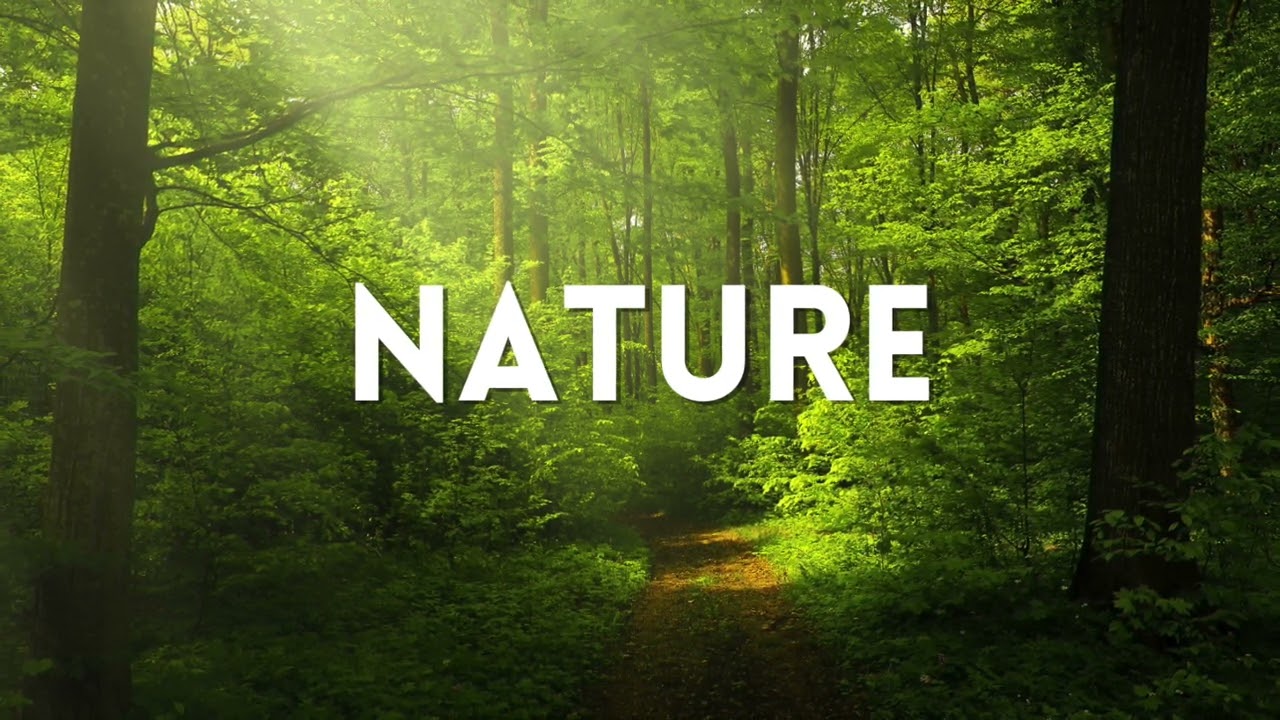 Free Nature Sound Effects Sample Pack