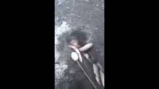 Khi người Nga câu cá