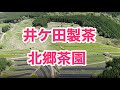 井ケ田製茶北郷茶園『一番茶』　ドローンにて空撮 煎茶 緑茶 絶景 dji