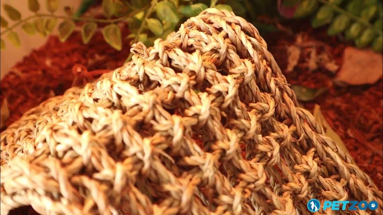 How To Use a Reptile Hammock See it in a Reptile Terrarium YouTube