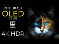 TOTAL BLACK – OLED Demo In HDR Dolby Vision 4K Video