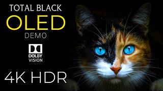 Total Black Oled Demo In Hdr Dolby Vision 4K Video
