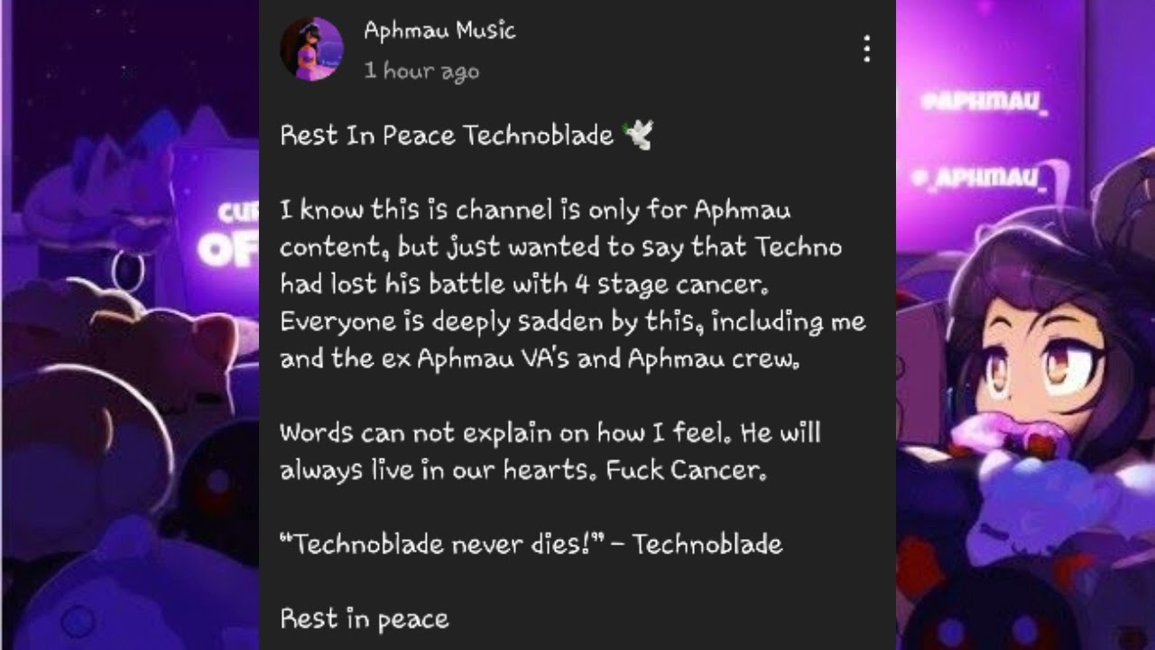 Rest In Peace Technoblade. (Please read)