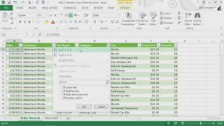 Microsoft Excel 2013 - Module 6:Use Tables to Organize Data