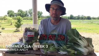SUMMER CSA - WEEK 3