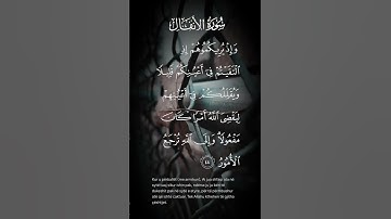 سورة الأنفال وإذ يريكموهم إذ التقيتم في أعينكم قليلا ويقللكم في أعينهم ليقضي الله أمرا كان الاية ٤٤