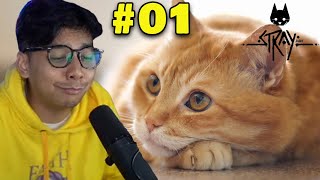 SEEKOR KUCING LIAR YANG MENCOBA BERTAHAN HIDUP DI KERASNYA DUNIA INI!! - STRAY #1