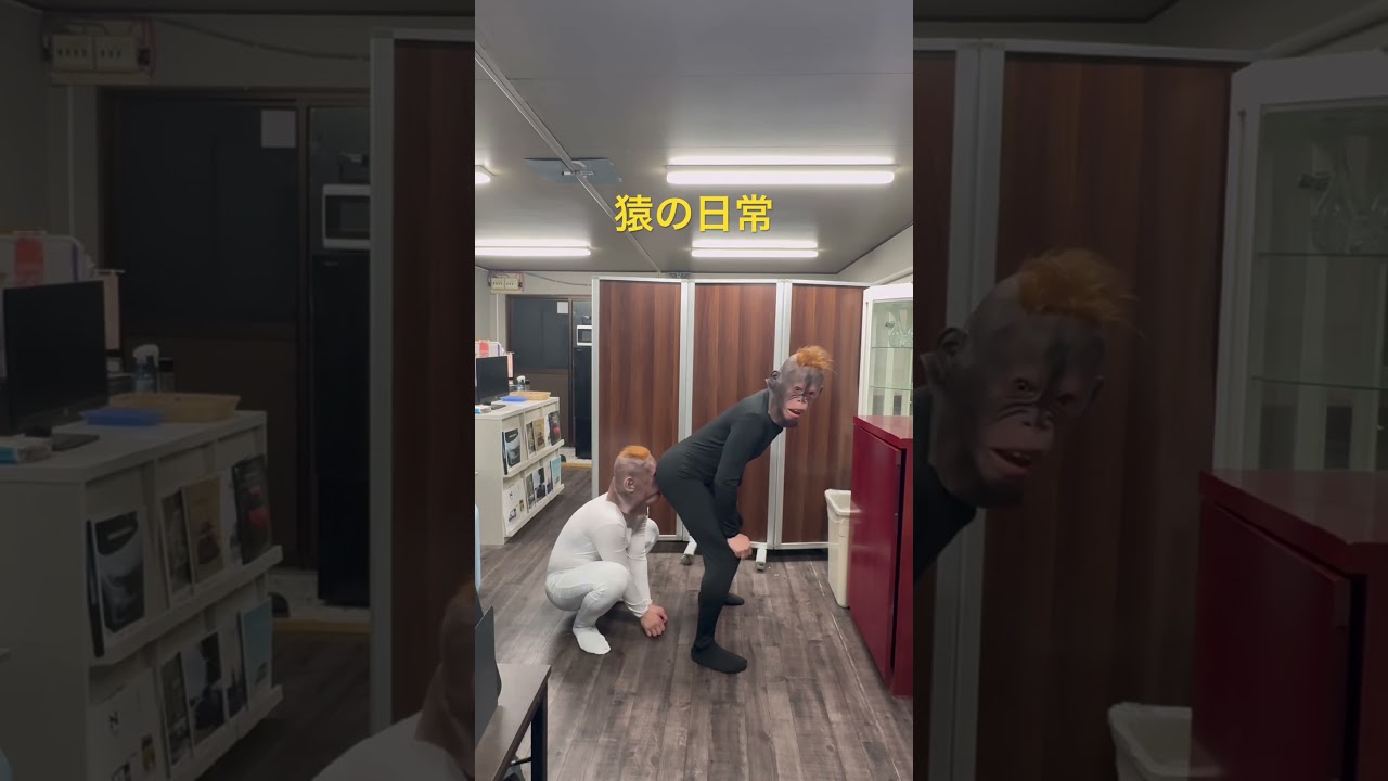 愉快なサントスとジョージ#shorts #おっさんモンキー#funny