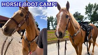 GOLDEN BOY IS STARTING BOOT CAMP!