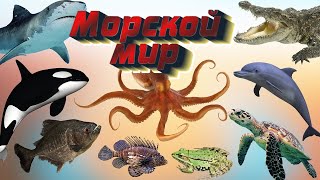 МОРСКОЙ МИР - 🦀 развивающие карточки для детей.🐠