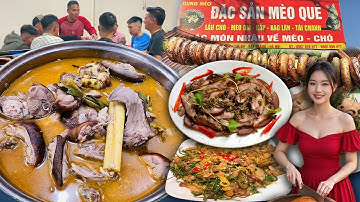 Quán đặc sản Thịt Mèo ngon nhất Hà Nội | Thịt mèo ship tận nhà