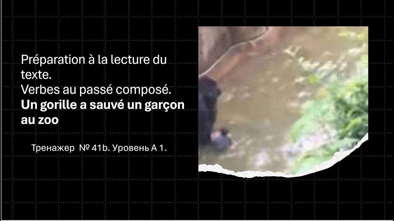 Тренажер французского 41-b Подготовка к чтению текста: спрягаем глаголы и учим фразы в passé composé