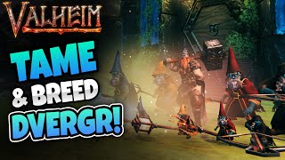 How to Tame & Breed Dvergr Dwarves