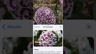 New Iphone Update Can Identify Plants &amp; Flowers! 🪴You Don’t Need A Separate App! #howto #iphone