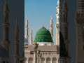Alhamdulillah Wo Mera NABI hai SubhanAllah #shortsviral
