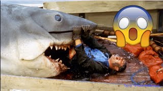 Jaws stopmotion reenactment  Quint gets Devoured