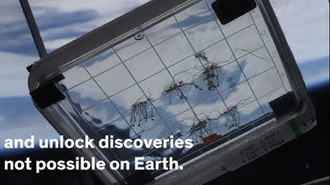 NASA GeneLab: Omics database for spaceflight experiments