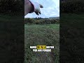 COMO MATAR LAS MALEZAS?