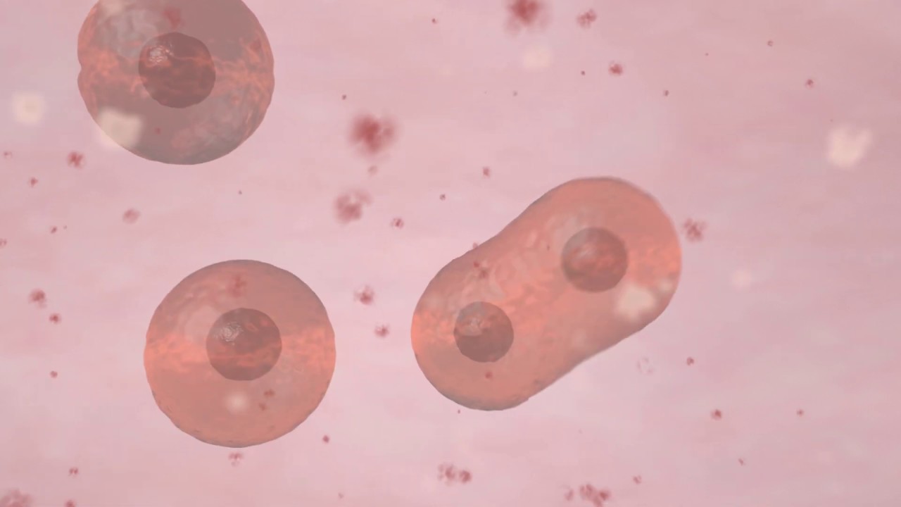 glutathione stem cells New insights into stem cell function