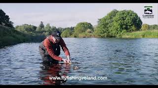 River Suir - Trout Fishing