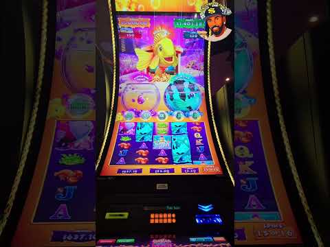 Fish Boom Igra: Igranje V Slovenian Online Casino!