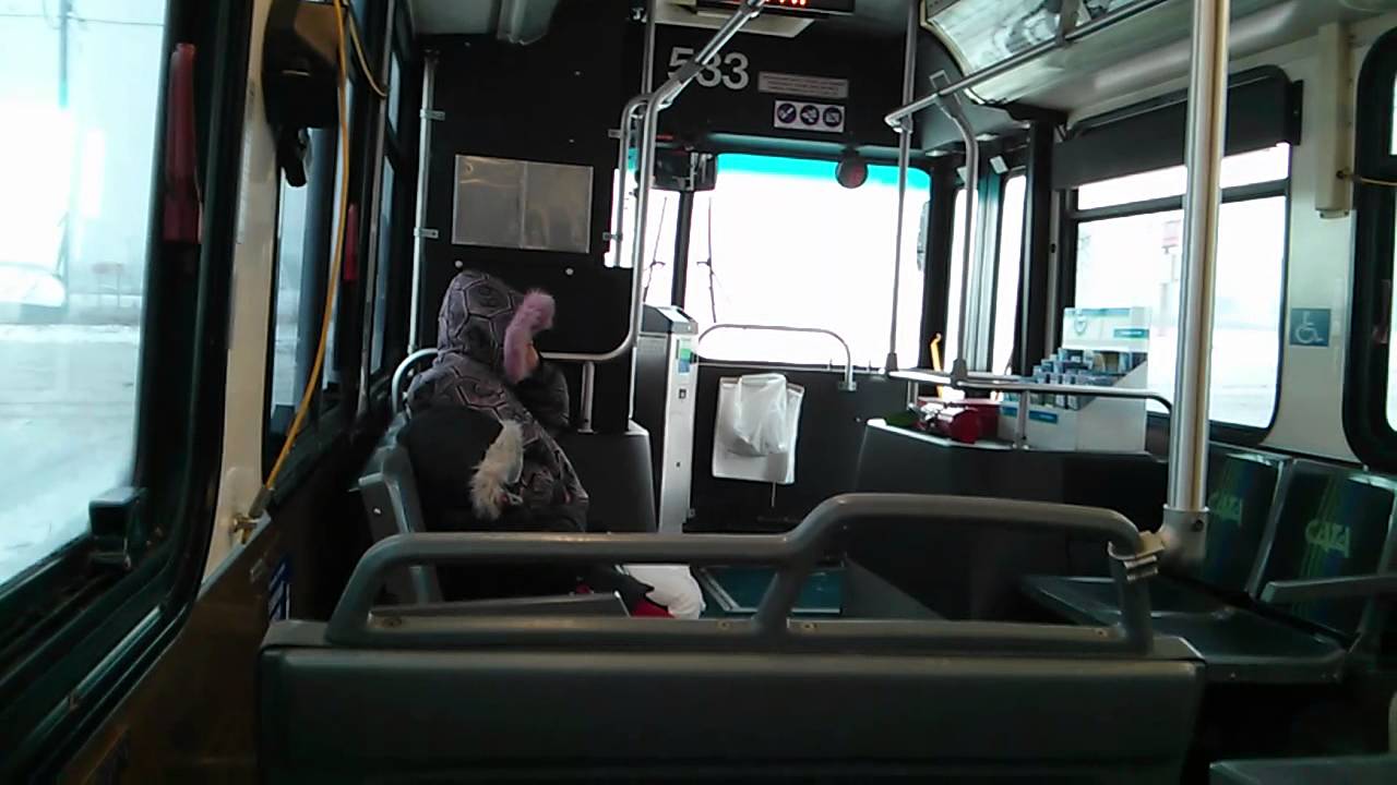 Bus To Lansing Michigan