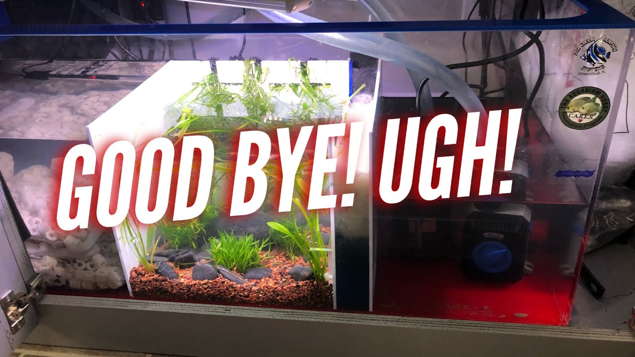 sump for freshwater planted aquarium