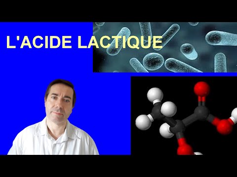 Vidéo: Accumulation D'acide Lactique Chez Les Chiens