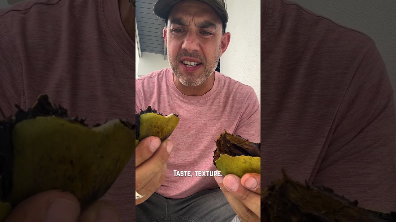 This Fruit tastes like Chocolate PUDDING?!