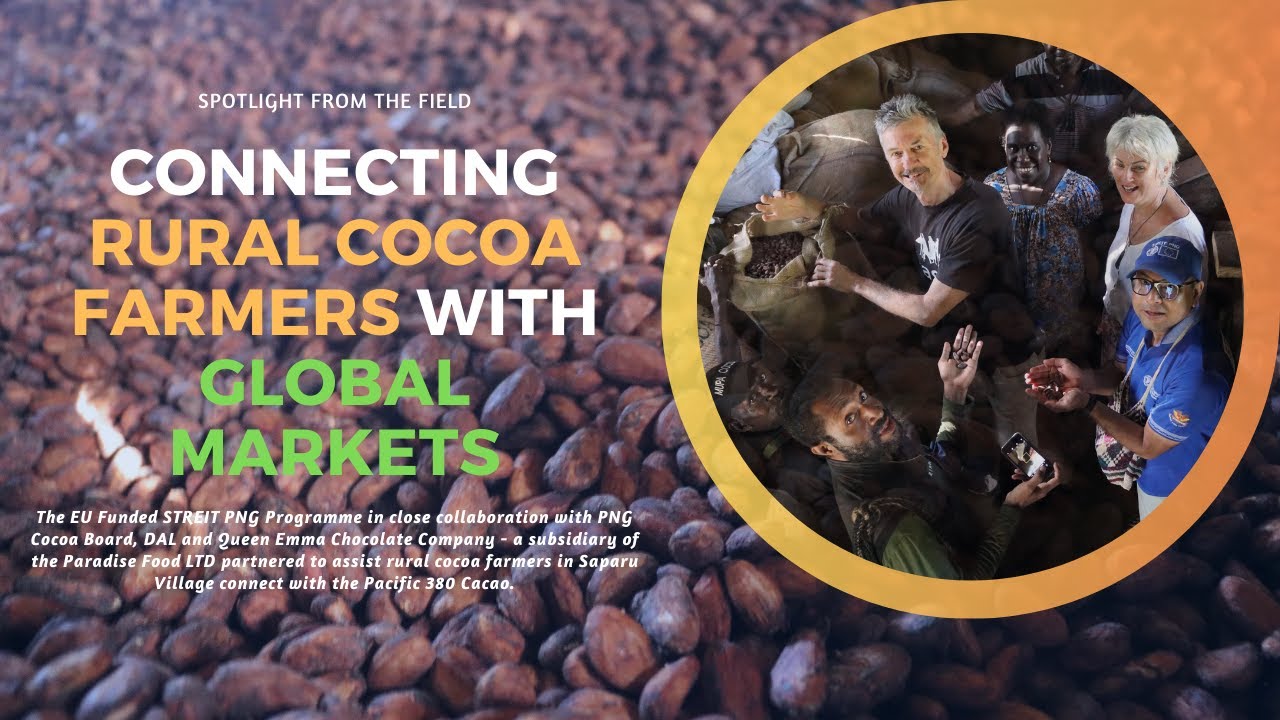 Connecting Rural Cocoa Farmers with Global Markets Mupa Cocoa Farming