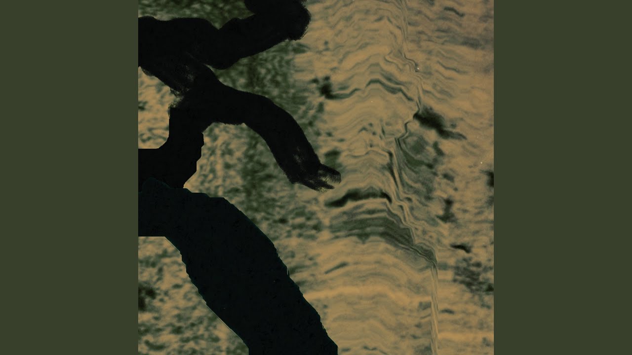 Guarda Divine Light su YouTube Guarda Divine Light su YouTube