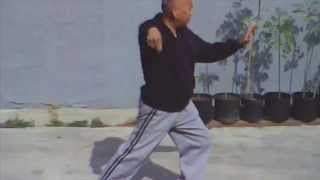 42 Form Tai-chi Part 1 A (front view)  by Nel Maulit