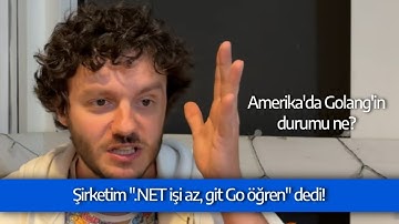 Golang’in Amerika’daki durumu, Go dilinin geleceği var mı?
