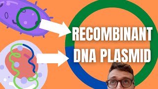 Recombinant DNA Technology Explained For Beginners screenshot 2