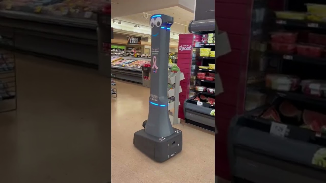 The robot in Roblox Panik! I saw it in the grocery store today. This thing is real? 