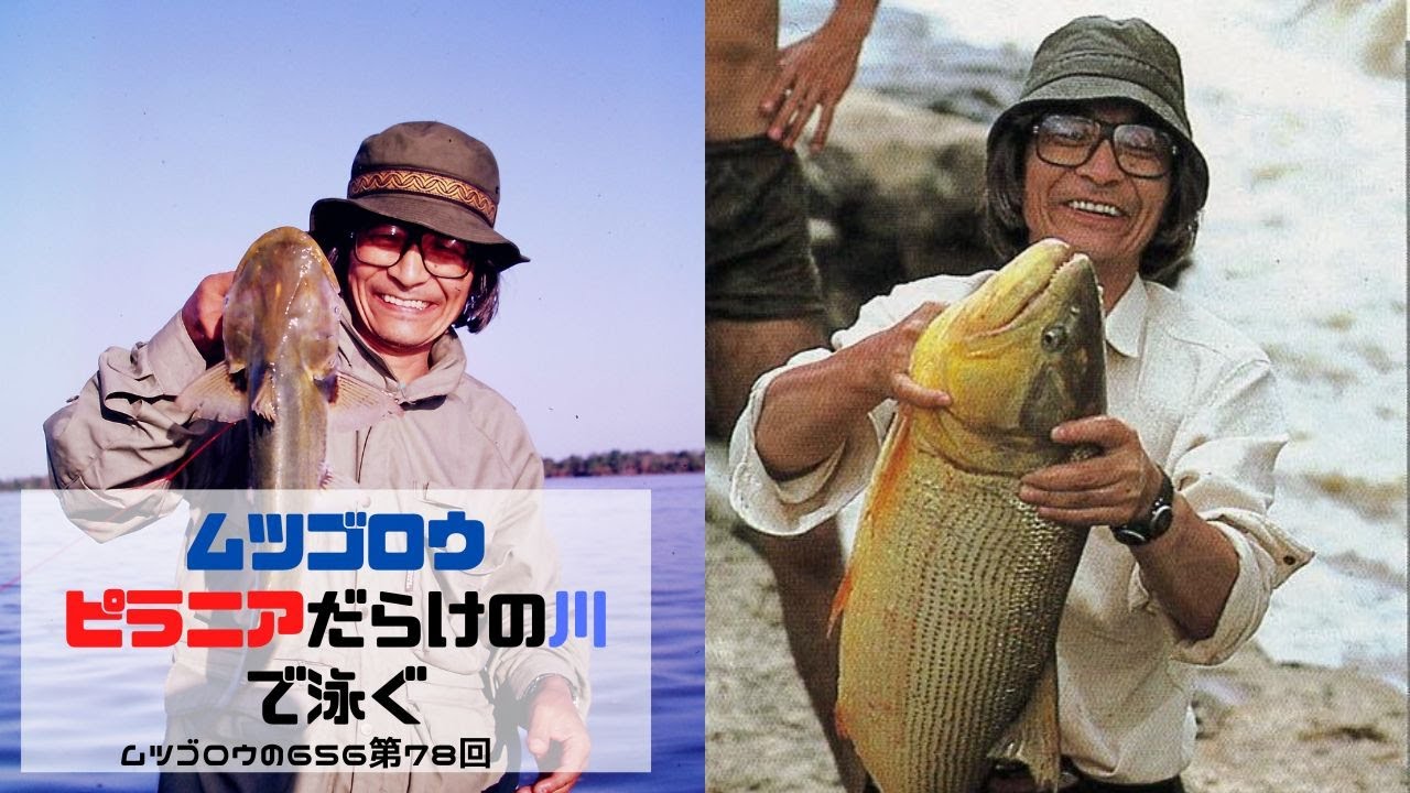 第78回 ムツゴロウ ピラニアだらけの川で泳ぐ Youtube