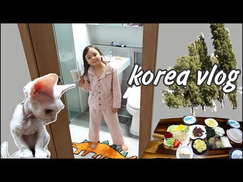 Домашний влог. Навожу уют в доме;) KOREA VLOG