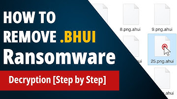 How to Remove BHUI Virus? [ Step to Step Tutorial ]