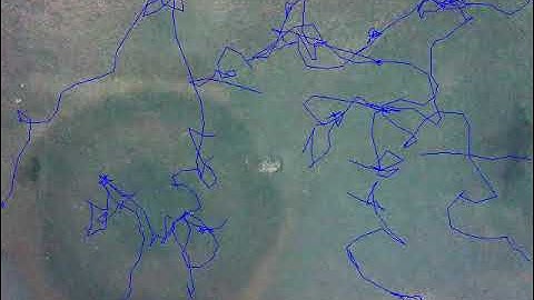 C. elegans nematode orienting in the ABSENCE of magnetic fields (control for magnetic orientation) 3