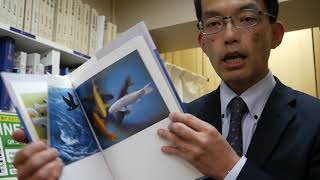 画面に秘密の年号が隠されている】杉山寧の制作年代の見方教えます