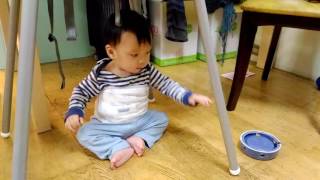1051130小梨梨探索世界(part1)