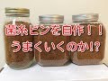 自作菌糸ビン【前編】菌床ブロックからビンへの詰め替え