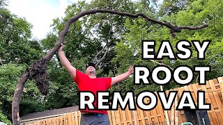 This MONSTER Tree Root Came Out In One Piece, Here’s How I Did It