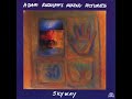 Adam rudolphs moving pictures  skyway full album